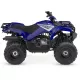 110 2025 GRIZZLY YFM110